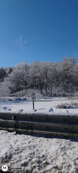 Johnson Creek Recreation Area Picture 4