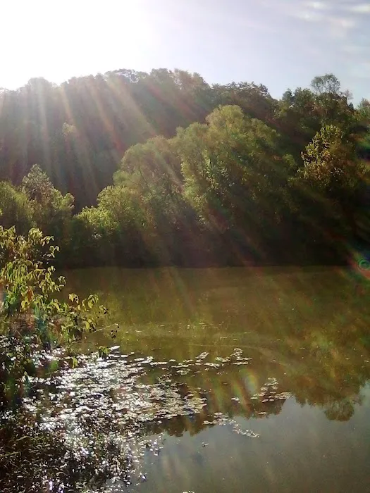 Johnson Creek Recreation Area Picture 7