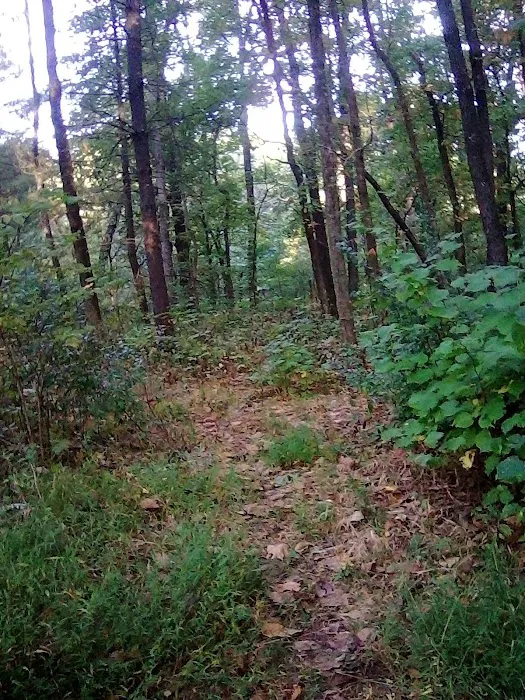 Johnson Creek Recreation Area Picture 8