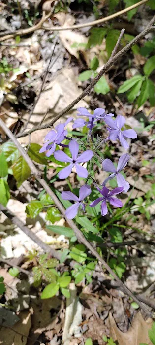 General Watkins Conservation Area Picture 4