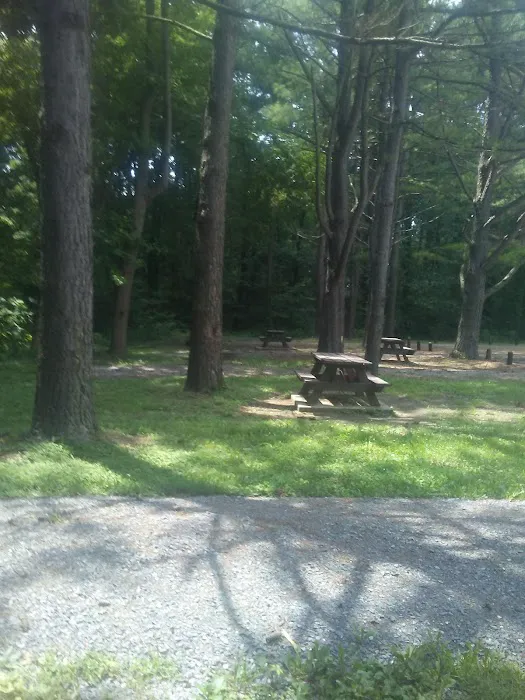 General Watkins Conservation Area Picture 3