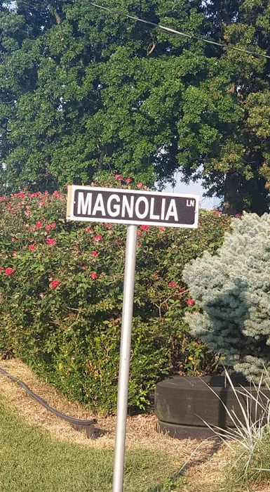 The Magnolia Campground and Store Picture 3