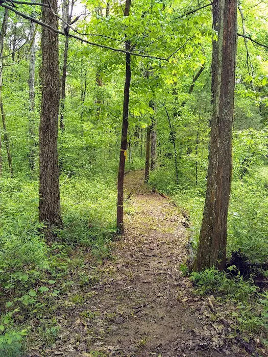 Henry Horton State Park RV Campground Picture 2