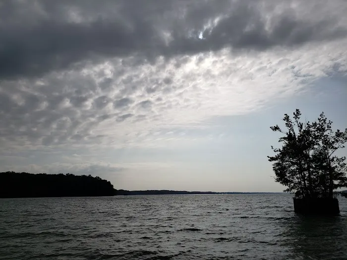 Lauderdale Co Commission RV Campground Picture 4