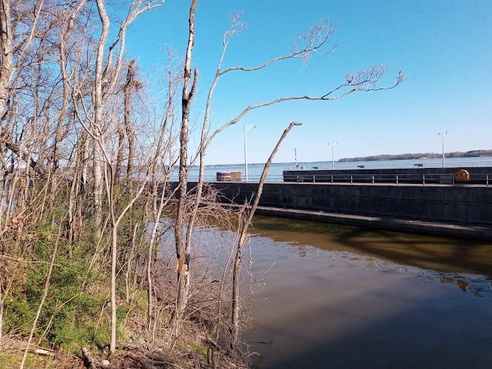 Lauderdale Co Commission RV Campground Picture 1