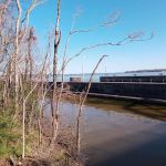 Lauderdale Co Commission RV Campground