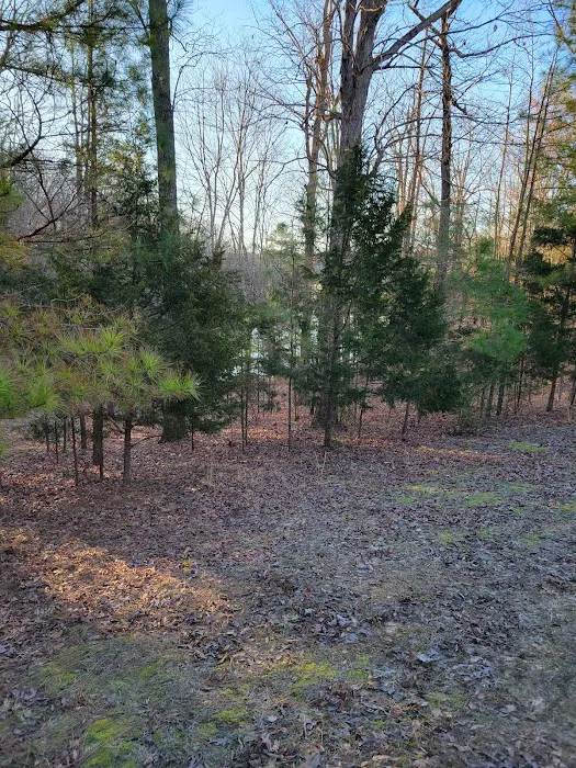 Natchez Trace State Park Campground Picture 9
