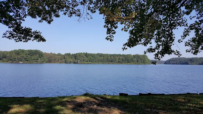 Beech Lake Family Camping Resort Picture 6