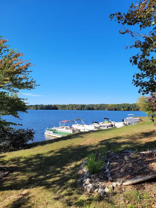 Beech Lake Family Camping Resort Picture 5