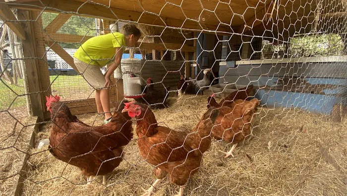 Osceola campground Picture 1