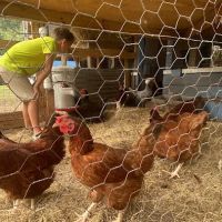 Osceola campground ico