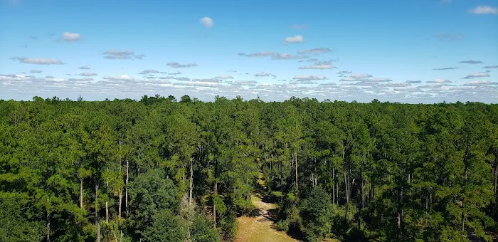 EAST TOWER CAMP Picture 4