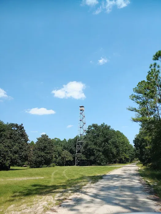 EAST TOWER CAMP Picture 7