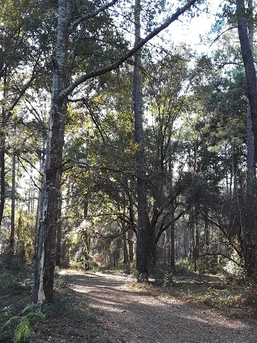 EAST TOWER CAMP Picture 8