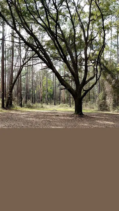 EAST TOWER CAMP Picture 10