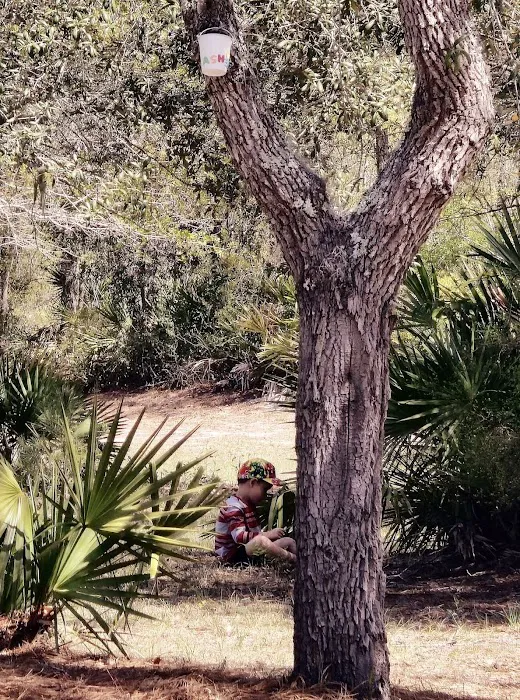 Blackwater Ranch Picture 2