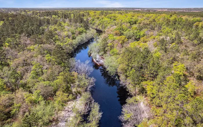 Blackwater Ranch Picture 7