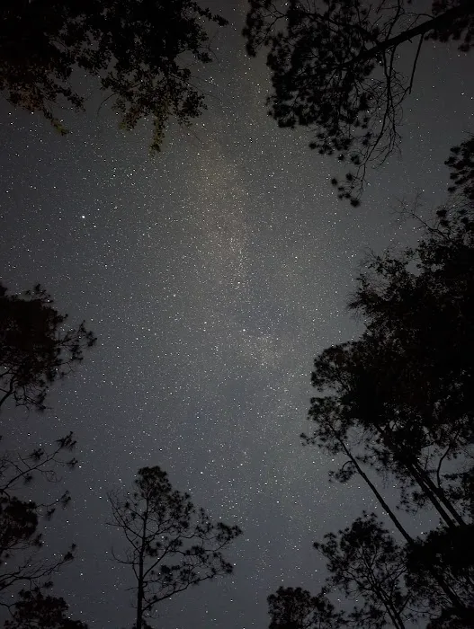 17 Mile Hunt Camp Picture 6