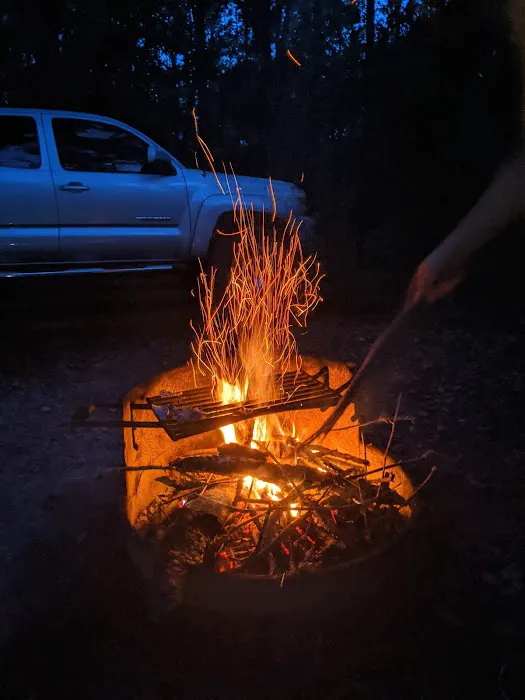 Jennings State Forest - Hammock Campground Picture 2