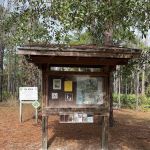 Jennings State Forest - Hammock Campground