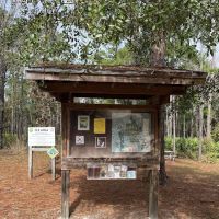 Jennings State Forest - Hammock Campground ico