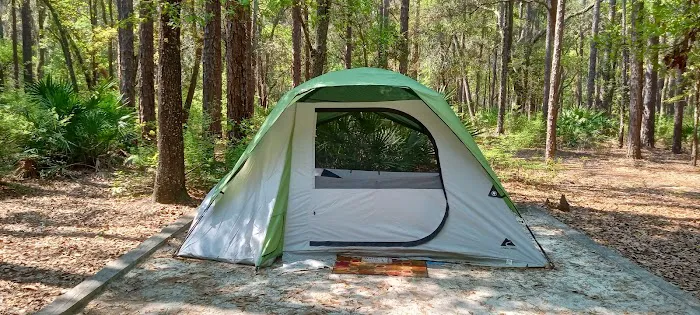 Jennings State Forest - Hammock Campground Picture 7