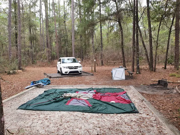 Jennings State Forest - Hammock Campground Picture 4