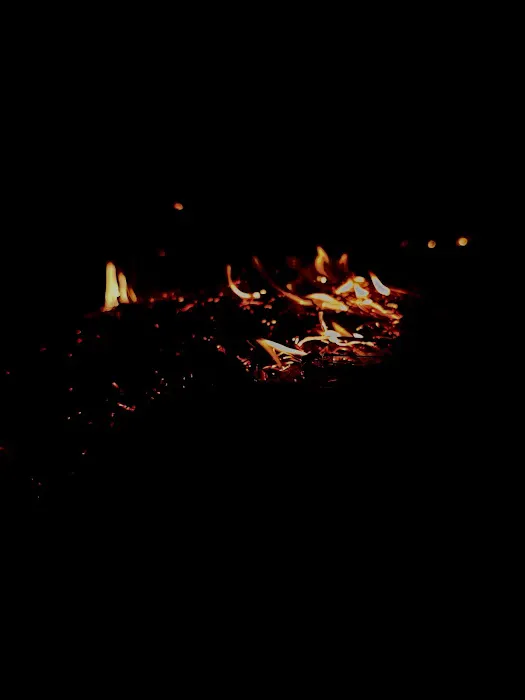 Bootleggers Campground Jennings State Forest, FL Picture 2