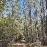 Bootleggers Campground Jennings State Forest, FL ico