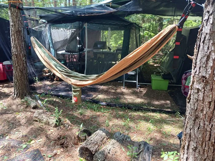 My backyard camp Picture 1