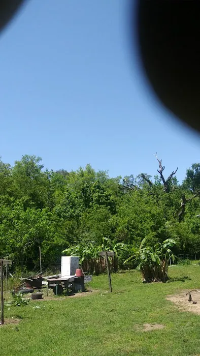 Wood heaven Picture 3