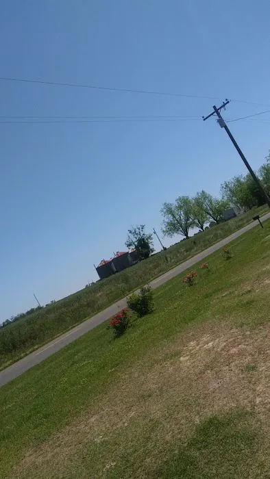 Wood heaven Picture 1