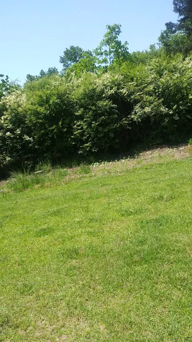 Wood heaven Picture 2