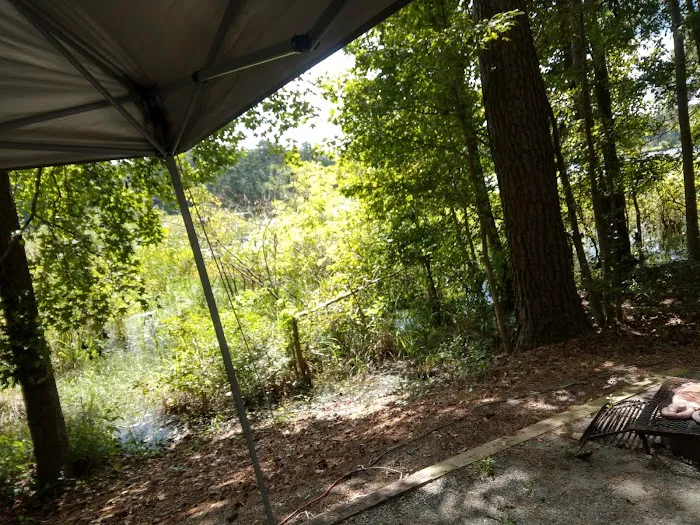 Hardridge Creek Picture 6
