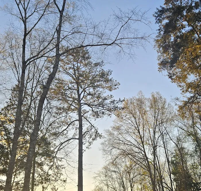 HIDDEN OAKS RV AND CABINS Picture 4
