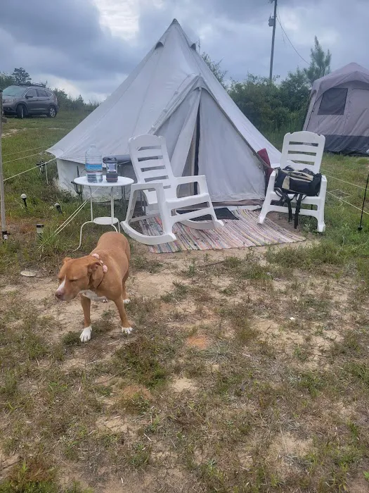 County Rd Camp and Glamp Picture 4