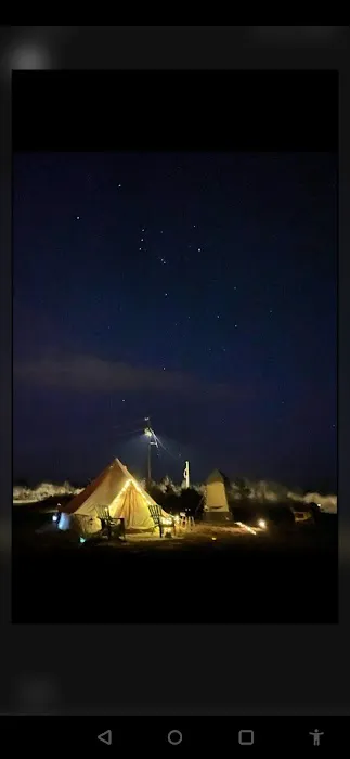 County Rd Camp and Glamp Picture 7