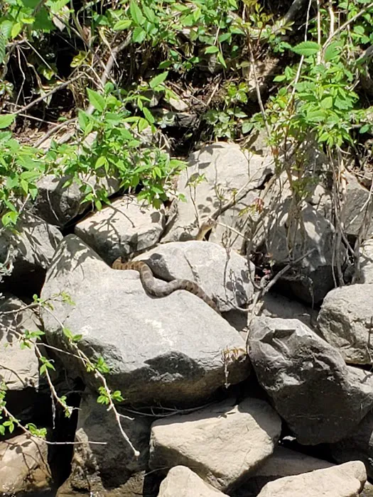 Easter Posey Recreation Area Picture 4