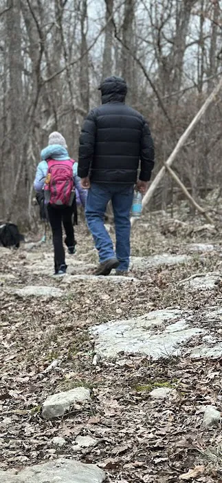 Rickwood Caverns State Park Campground Picture 9