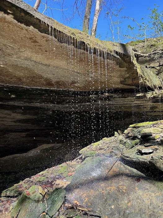 The Camp @ Smith Lake Tiny Home # 1 Picture 8