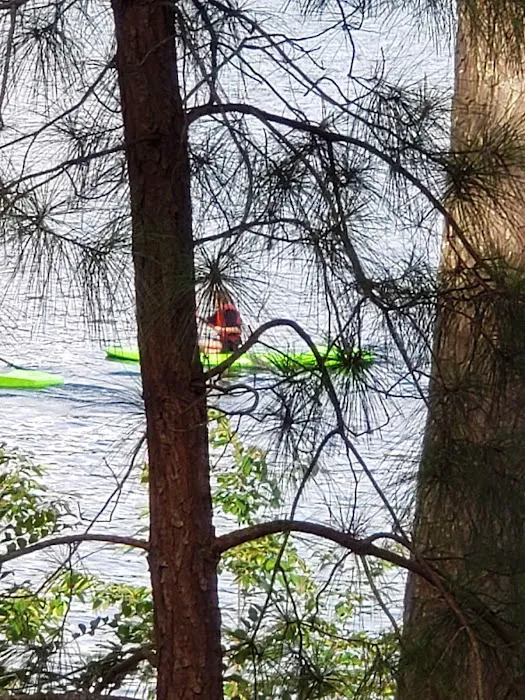 Boat ramp/camping Picture 3