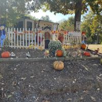 Yellowleaf Campground, RV, Apartments ico