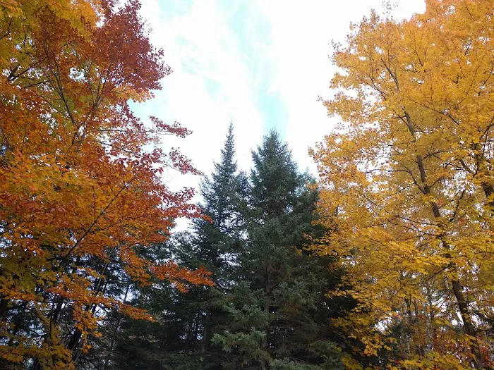 Big Cedar Campground Kayak & Canoe Livery Picture 8