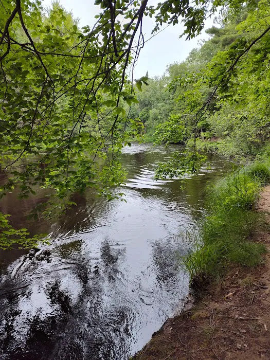 Big Cedar Campground Kayak & Canoe Livery Picture 4
