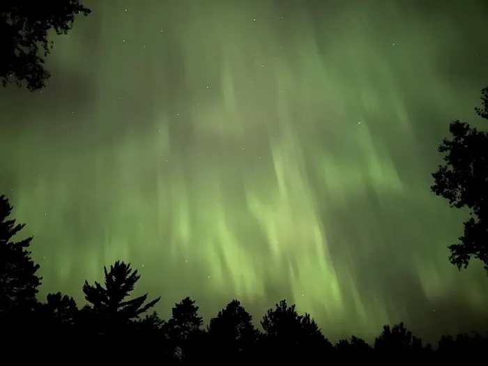 Mead Creek State Forest Campground Picture 8