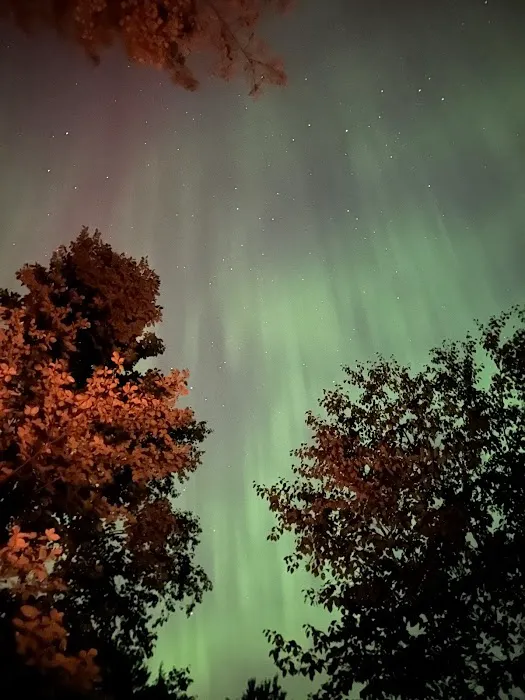 Mead Creek State Forest Campground Picture 7