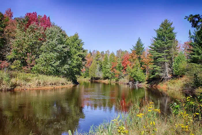 Mead Creek State Forest Campground Picture 9