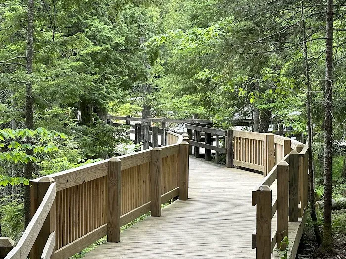 Lower Falls Portage Campground Picture 2