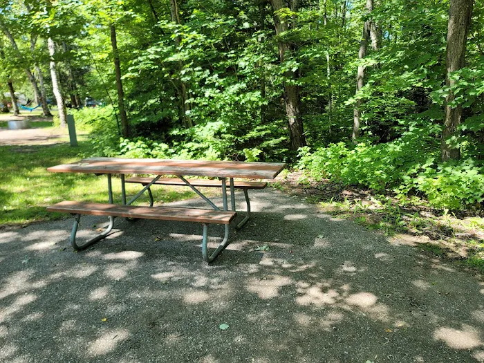 Lower Falls Portage Campground Picture 7