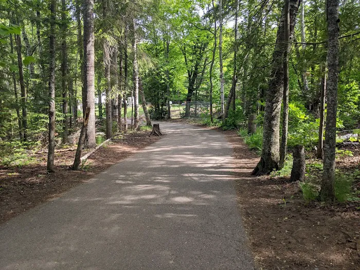 Lower Falls Hemlock Campground Picture 3